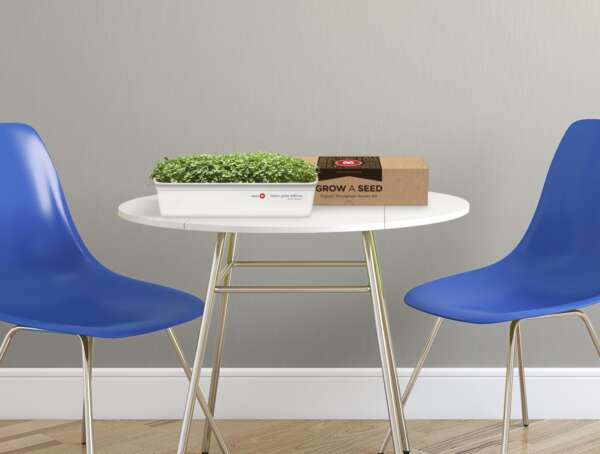 Microgreen Experience with BMO