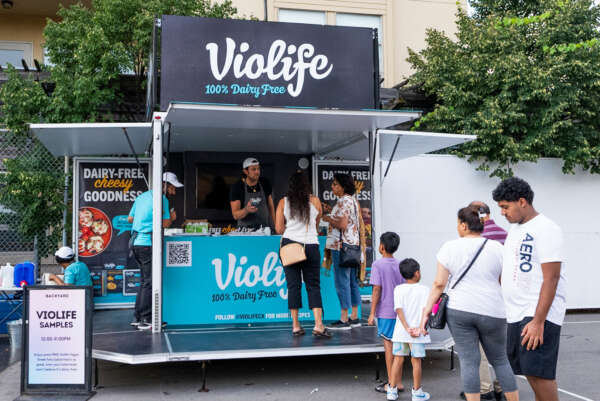 Violife Vegan Food Sampling