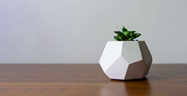 JOMO Studio