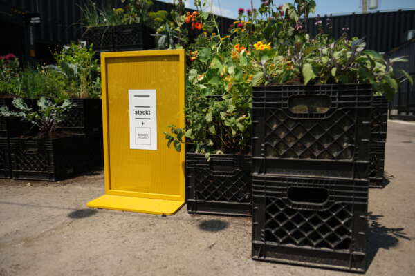 Pollinator Garden